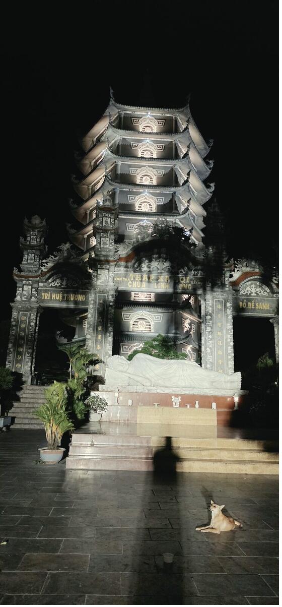 Linh Ung Pagoda tower lit up at night on the Son Tra Peninsula